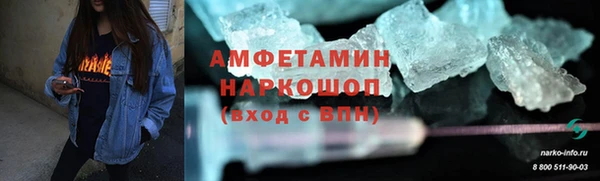 СК Алексин