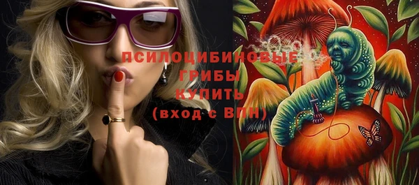 СК Алексин
