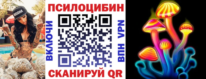Галлюциногенные грибы Psilocybine cubensis  Заполярный 
